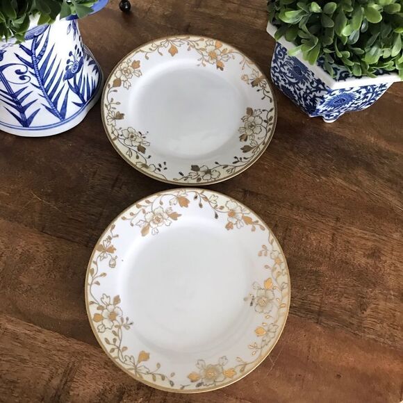 Pair vintage Nippon painted gold floral plates - Picture 1 of 6